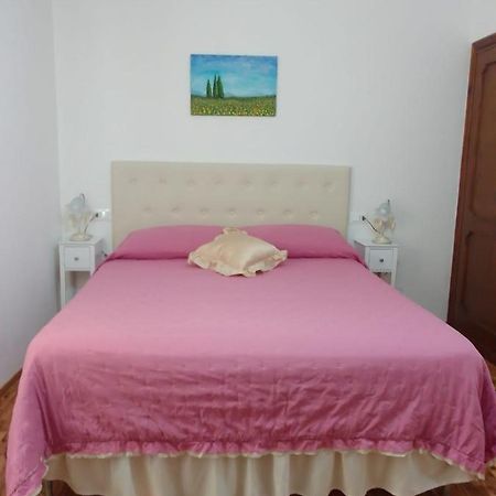 Dalla Carla In Toscana Monte San Savino Zewnętrze zdjęcie