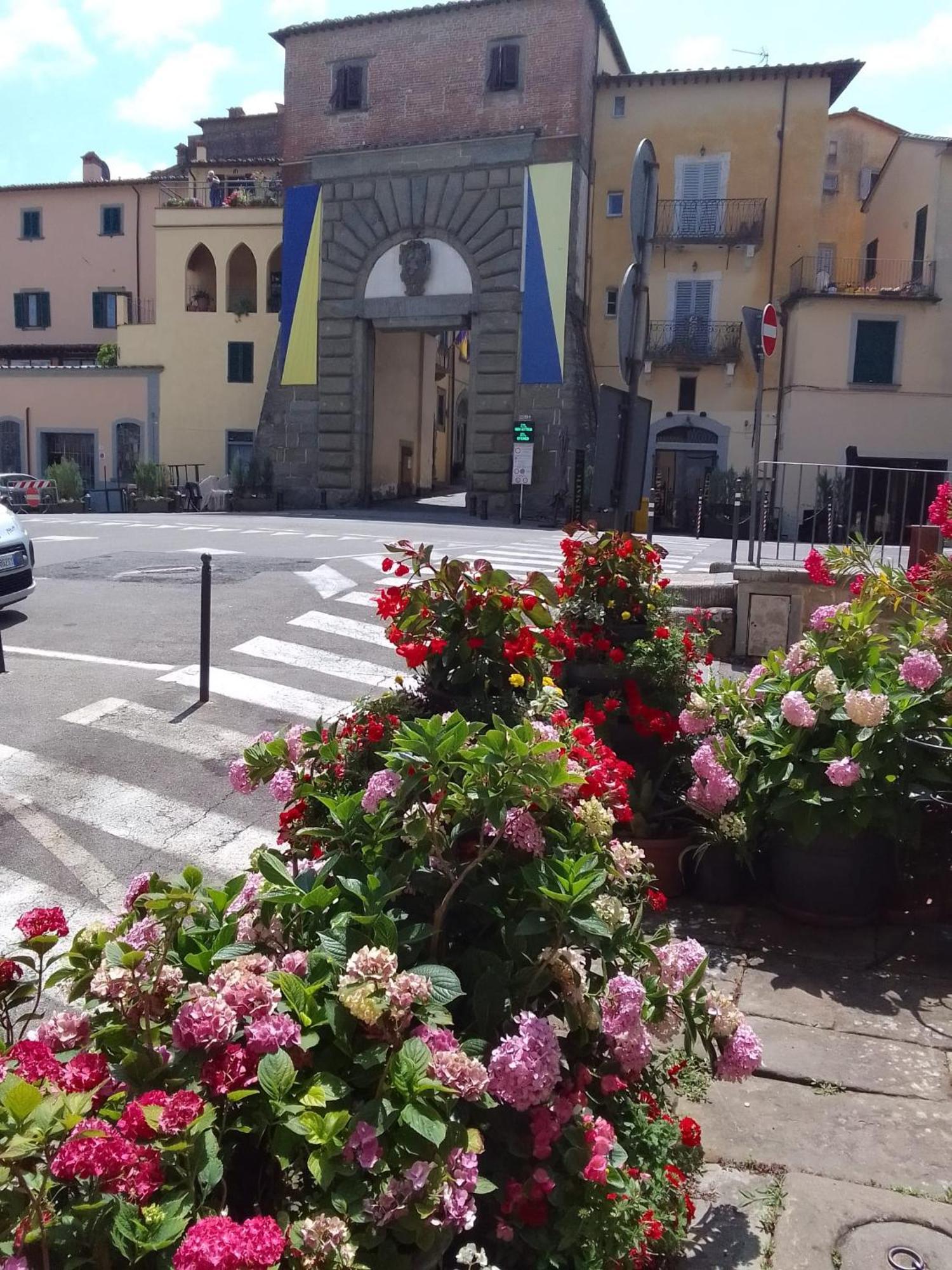 Dalla Carla In Toscana Monte San Savino Zewnętrze zdjęcie